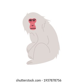  Japanese Macaque isolated vector illustration. Snow Monkey design element. Asian wildlife creature in cartoon style.