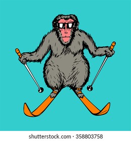 japanese macaques ski isolated art monkey vector