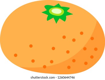 Japanese Mandarin orange
