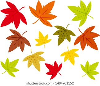 Japanese maple autumn golden yellow leaf icon isolated on white. Vector illustration with fallen orange maple