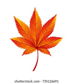 Japanese maple autumn golden yellow leaf icon isolated on white. Vector illustration with fallen orange maple in realistic design, botanical foliage element