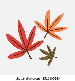 Japanese maple autumn leaf isolated on white. Vector illustration autumn leaves maple in cartoon flat style. vector eps10