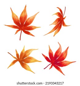 Japanese Maple Leaf Of Various Colors And Shapes In A Watercolor Style Isolated On A White Background. Falling Leaves Icon. Vector Illustration