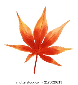 Japanese maple leaf in watercolor style isolated on white background. Fall leaves Icon. Vector illustration