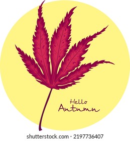 Japanese maple red leaf, vector illustration. Hello, Autumn. Autumn drawing