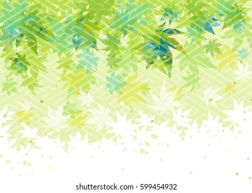 Japanese maple young leaves background