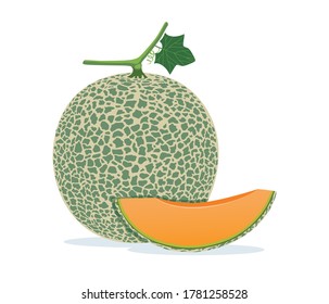 Japanese melon or Cantaloupe melon and slice isolated on white background.