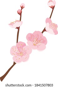 Japanese New Year Ornament , plum blossom