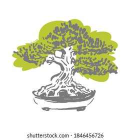 Japanese old bonsai tree in pot hand drawn logo