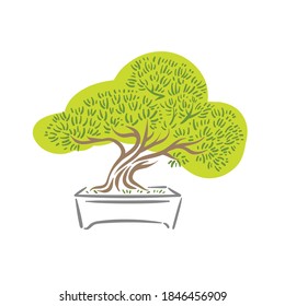 Japanese old bonsai tree in pot logo