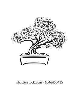 Japanese old bonsai tree in pot logo
