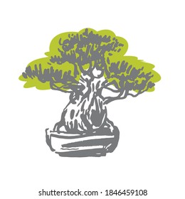 Japanese old bonsai tree in pot hand drawn logo