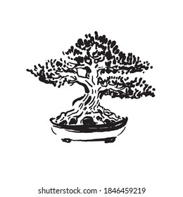 Japanese old bonsai tree in pot hand drawn logo