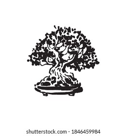 Japanese old bonsai tree in pot hand drawn logo