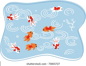 Japanese ornamental carps in pond