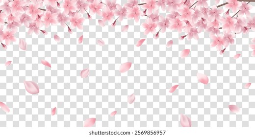 Japanese Pattern Cherry Blossoms Spring Background