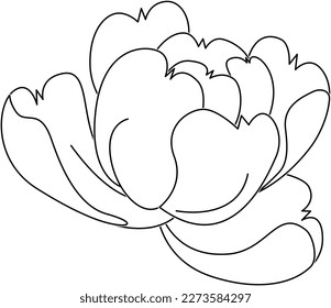 Japanese Pattern Peony _ 2 _ White Paint