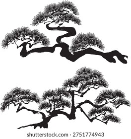 Japanese pine tree. hand drawn illustration.
