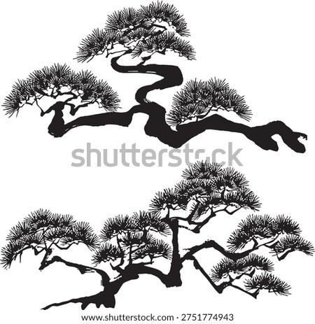 Japanese pine tree. hand drawn illustration.