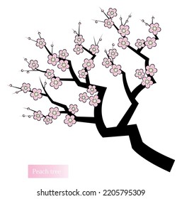 Japanese plants. Peach tree with peach blossoms in full bloom. Stylish illustration in Japanese style. Vector. 