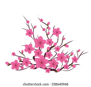 Japanese plum blossom