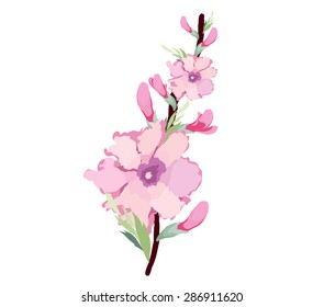 Japanese plum blossom watercolor