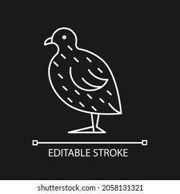 Japanese quail linear icon for dark theme. Coturnix japonica. Commercial poultry farming. Thin line customizable illustration. Isolated vector contour symbol for night mode. Editable stroke