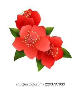 Japanese quince flowers. Japonica chaenomeles branch realistic vector illustration for wedding decor, maules quinces flowering closeup, plums greeting flowers isolated tree bouquet