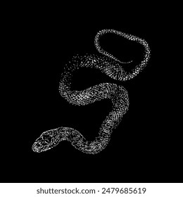 japanese rat snake hand drawing vector isolated on black background.