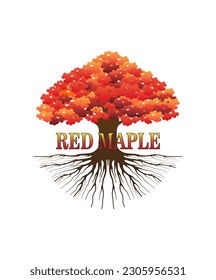 Japanese red maple trees vector isolated on white background