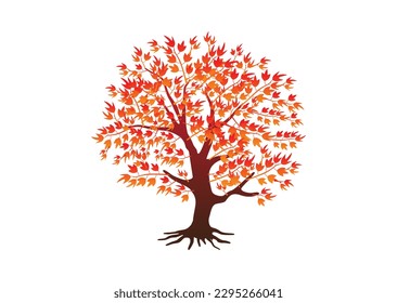 japanese red maple vector, isolated on white background