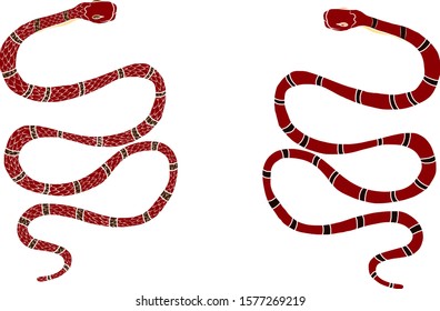 Japanese red snake cobra for sticker isolate on white background.