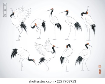 Japanese red-crowned crane birds in oriental style on white background. Traditional Japanese ink wash painting sumi-e. Hieroglyphs - eternity, freedom, happiness, zen.