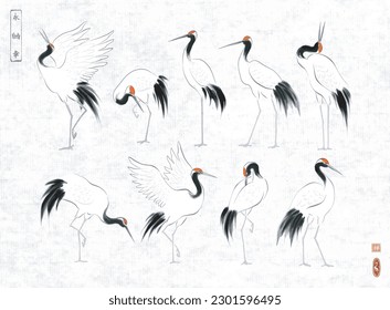 Japanese red-crowned crane birds in oriental style on rice paper backrgound. Traditional Japanese ink wash painting sumi-e. Hieroglyphs - eternity, freedom, happiness, zen.