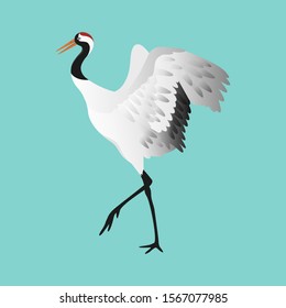 Japanese red-crowned crane dancing, standing in different poses isolated on white background set, vector illustration