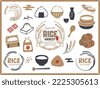 rice illustration