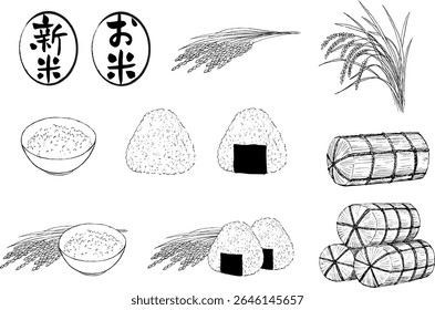 Arroz japonês e espigas de arroz escritas com uma caneta.
Japonês está escrito "arroz e arroz novo"