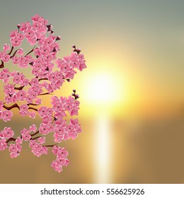 Japanese sakura. A branch of dark pink cherry blossom. Against the backdrop of a beautiful sunset. Vector illustration