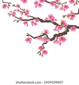 Japanese sakura flowers. Cherry blossom branch with a blooming pink flower. Realistic vector spring tree isolated on white background. Hanami Festival. Illustration for wedding invitations women's day