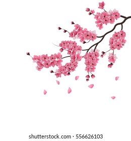 Japanese sakura. Lush the branch of dark pink sakura blossom. Isolated on white background. Vector illustration