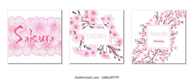 Japanese sakura spring template collection. Cherry blossom pink oriental background