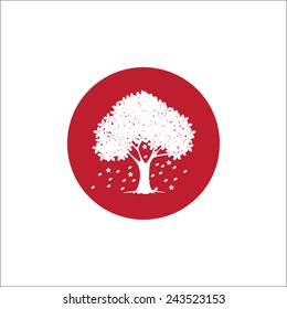 japanese sakura tree 