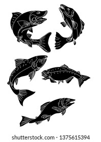 Japanese salmon vector and sicker for print.Set of salmon fish.