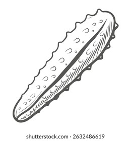 Japanese Sea Cucumber Hand Drawn Illustration