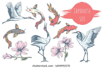 Japanese set, hand drawn cranes, koi carps and magnolias