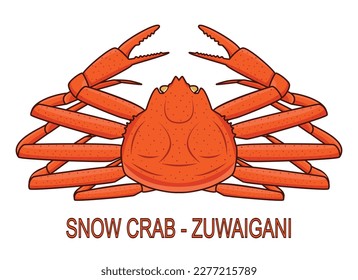 Japanese snow crab called Zuwaigani drawing in vector