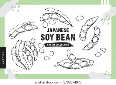 Japanese Soybean, Hand drawn sketches, Grains Collection