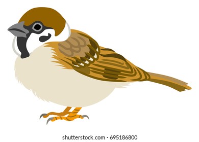 Japanese Sparrow Illustration-Side view ,Left