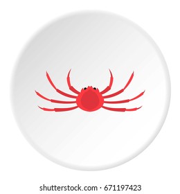 Japanese spider crab icon in flat circle isolated vector illustration for web