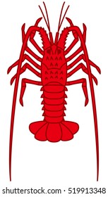 Japanese spiny lobster